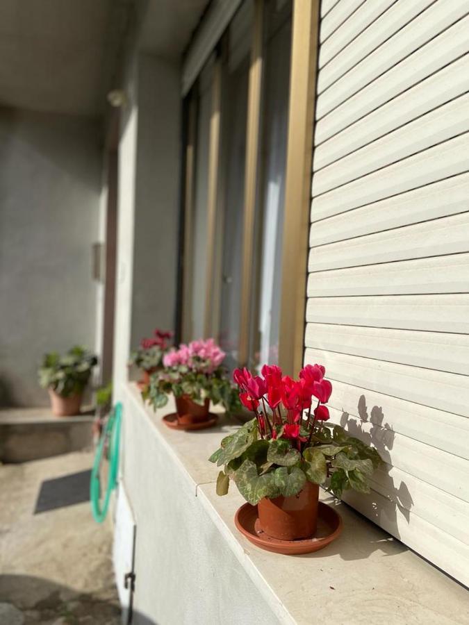 Domuspes Apartment Sedilo Bagian luar foto